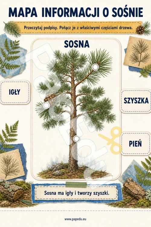 00304-pierwszy-tekst-informacyjny-czytam-wskazuje-dowod-2