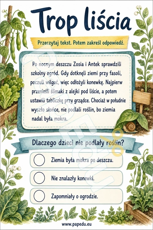 00320-ta-sama-lekcja-trzy-poziomy-tekstu-2
