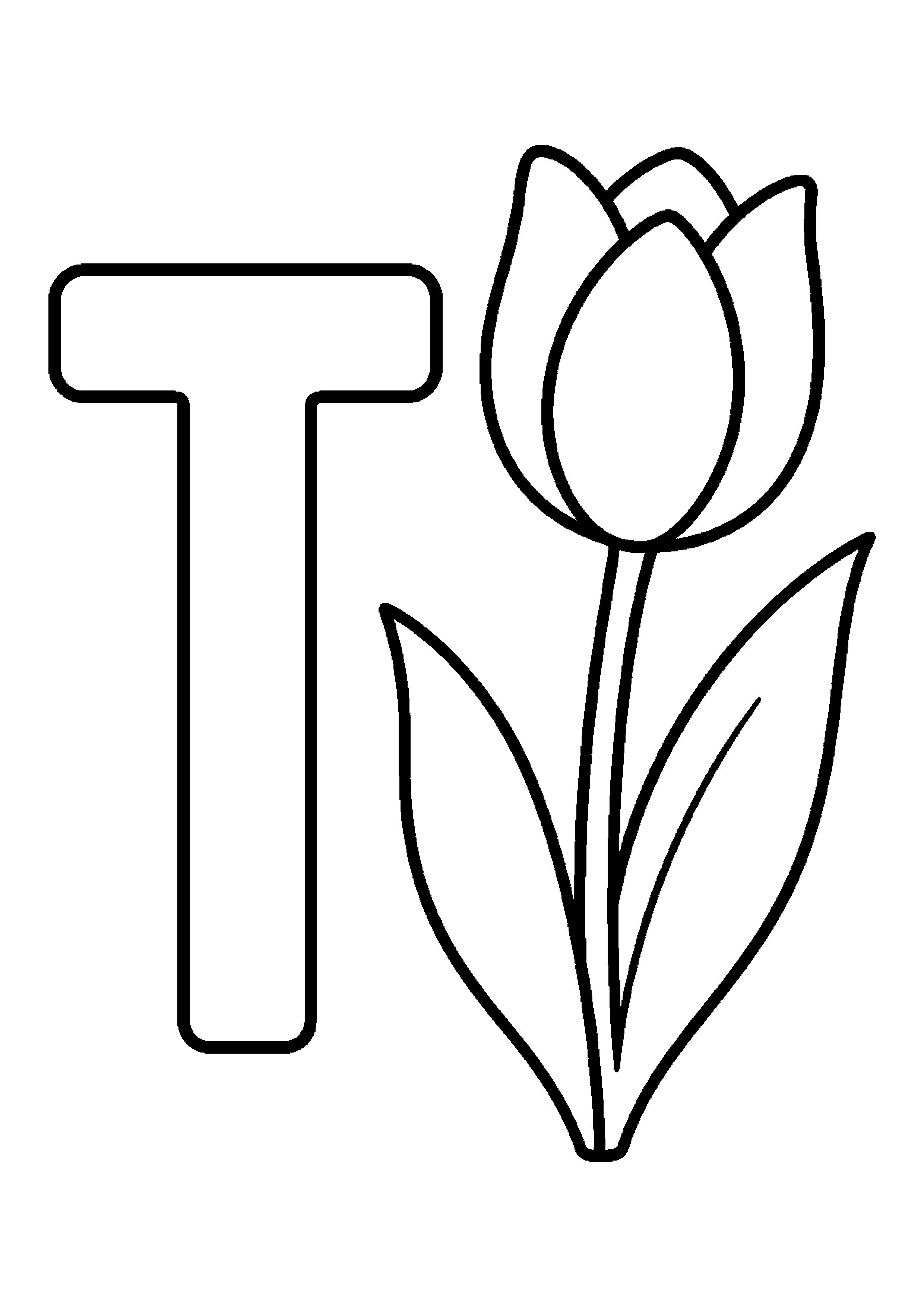 Tulipan obok litery t