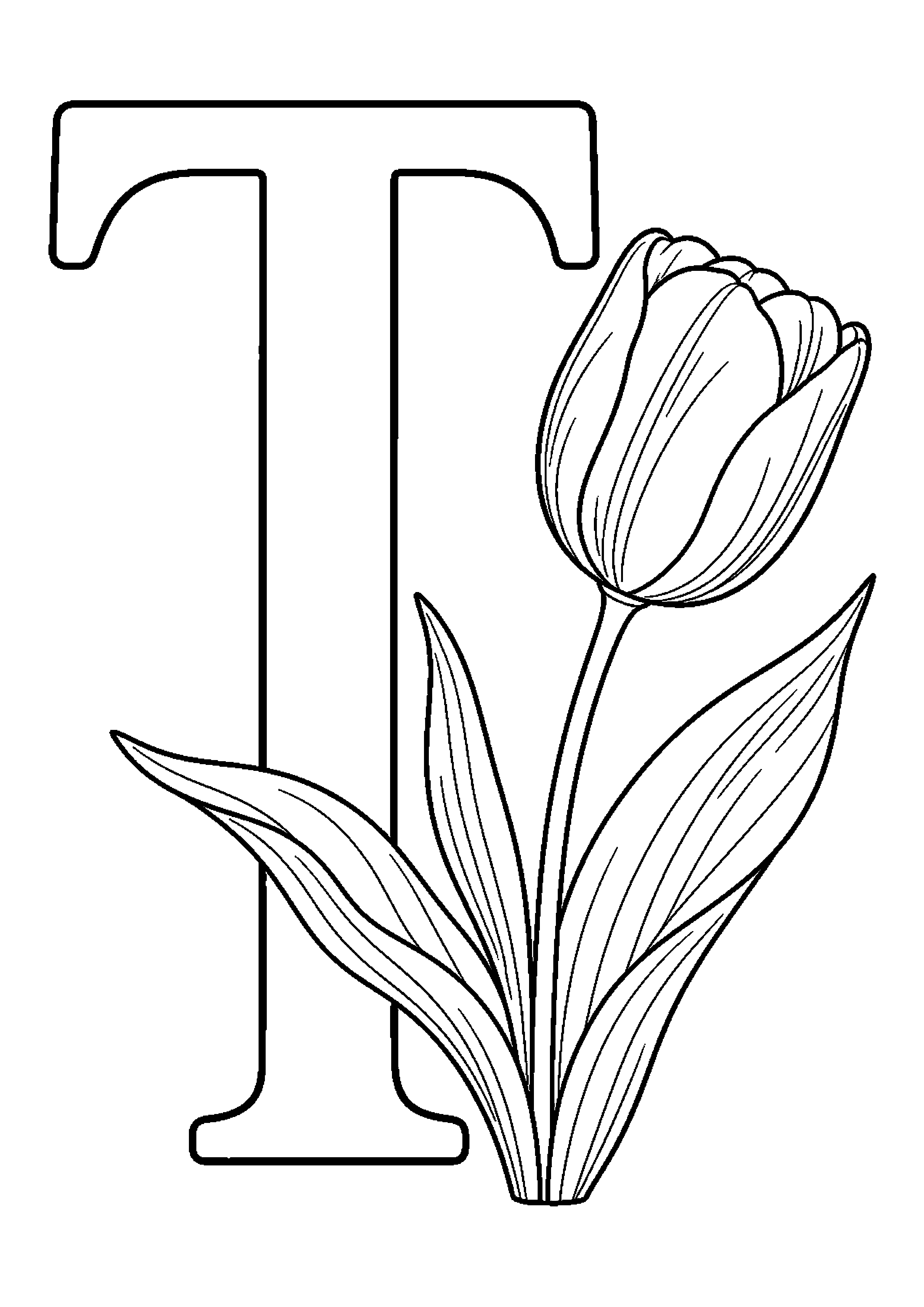 Duża litera t i tulipan