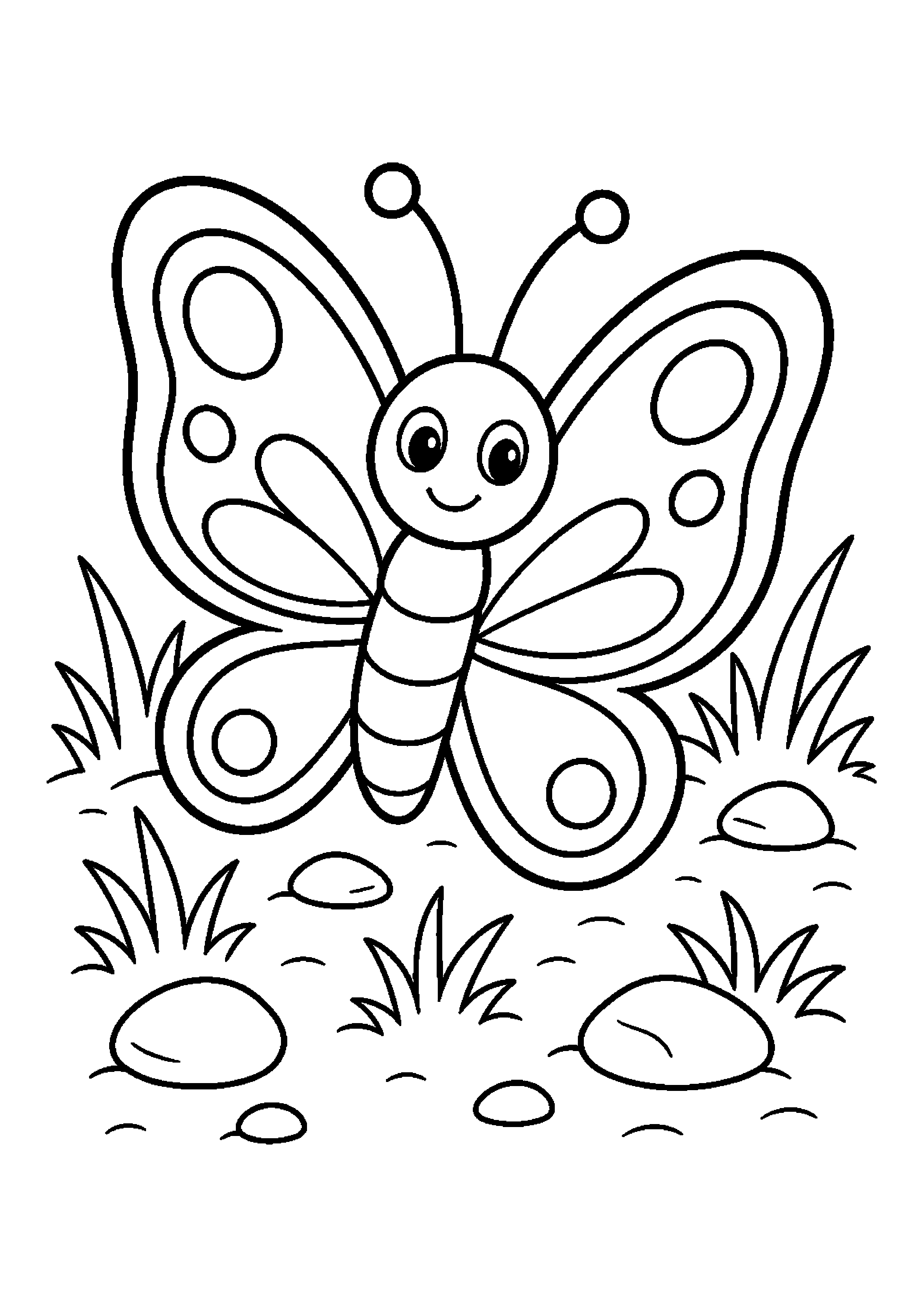 Motyl siada na łące z małymi kamykami w tle