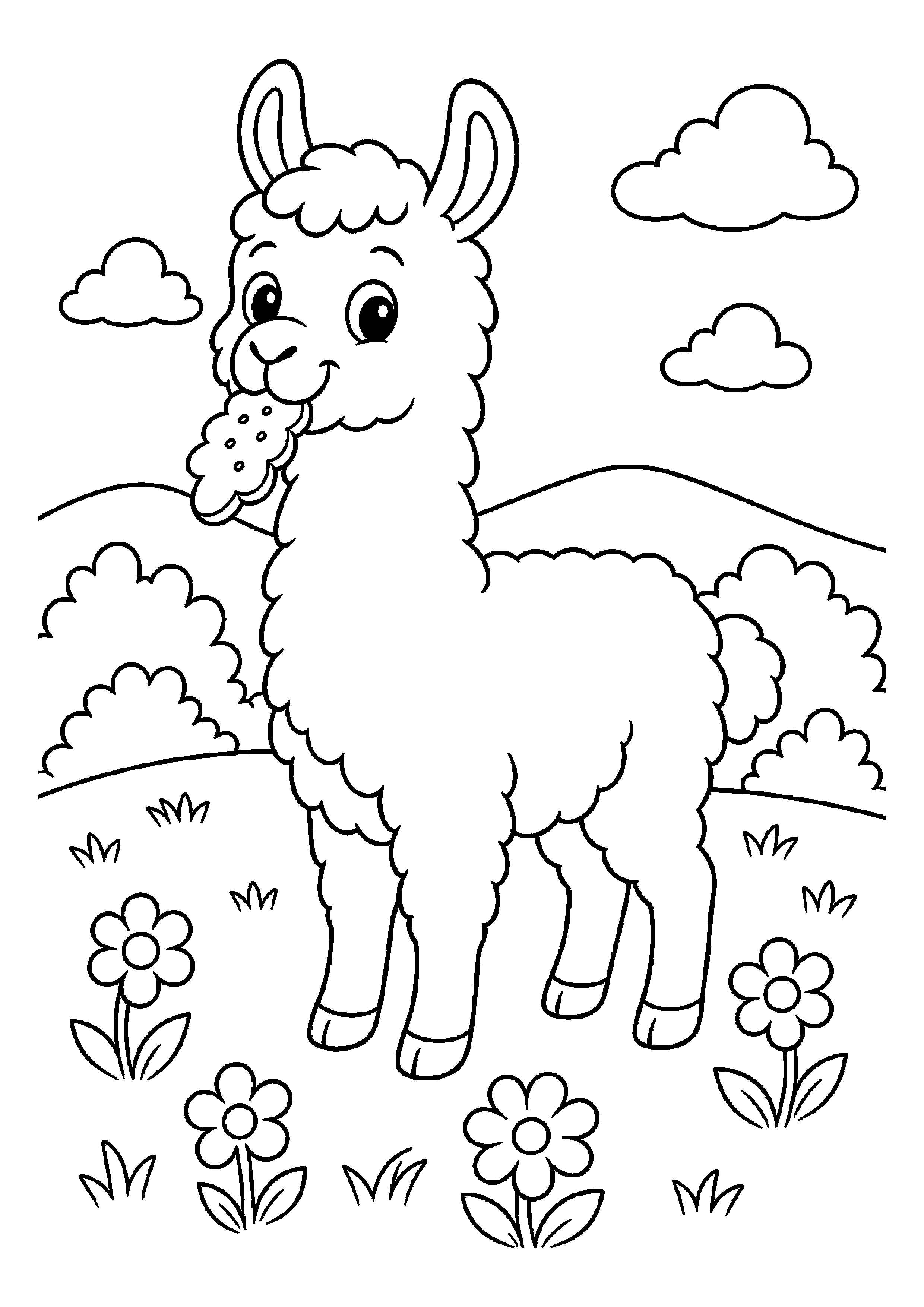 Lama na łące