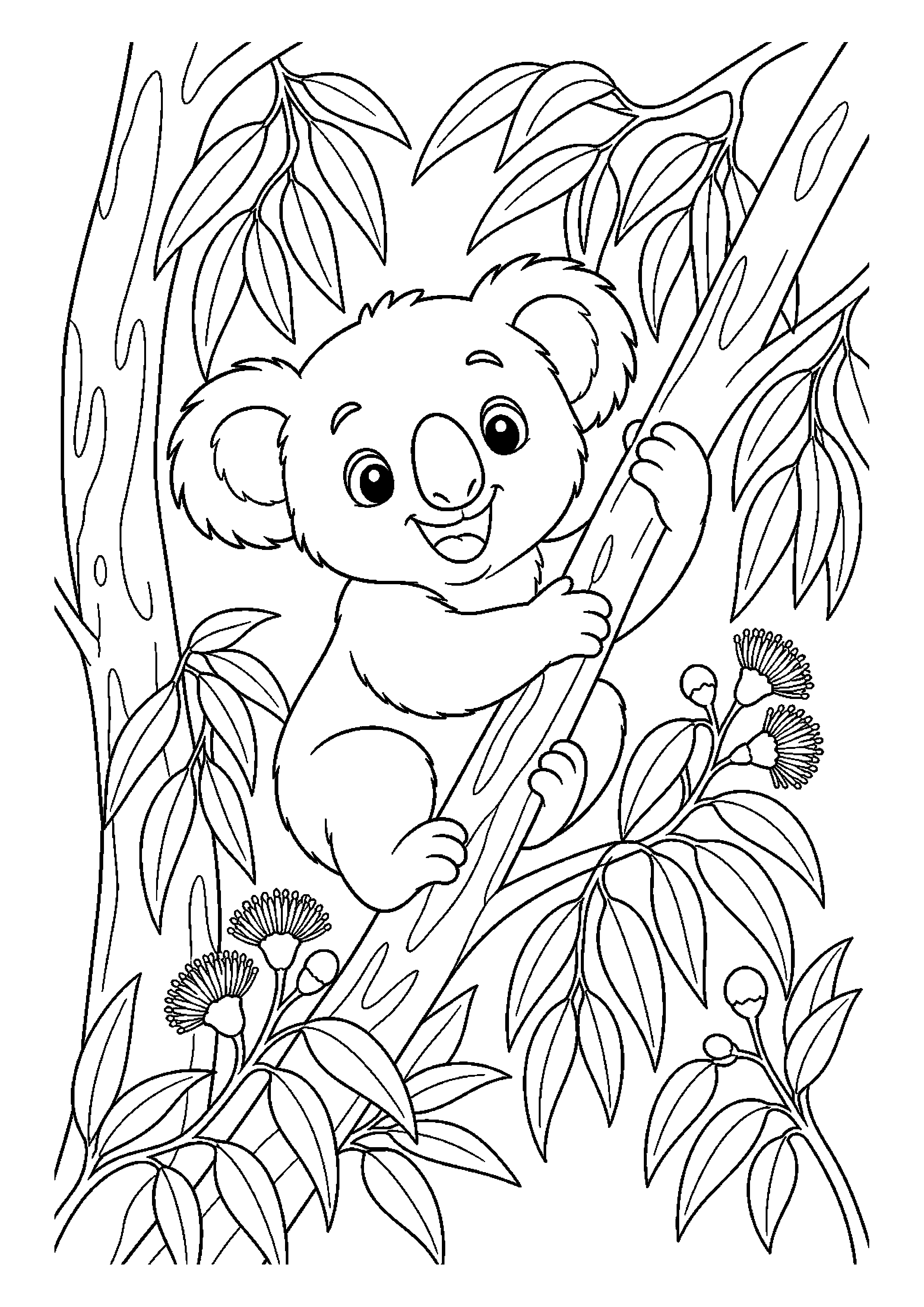 Koala w ciekawej scenerii