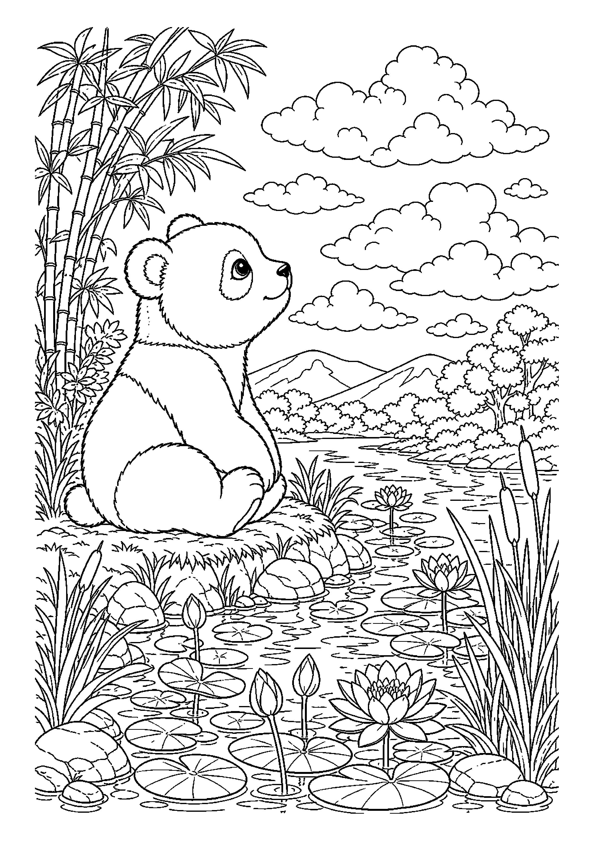 Panda – obserwuje chmury
