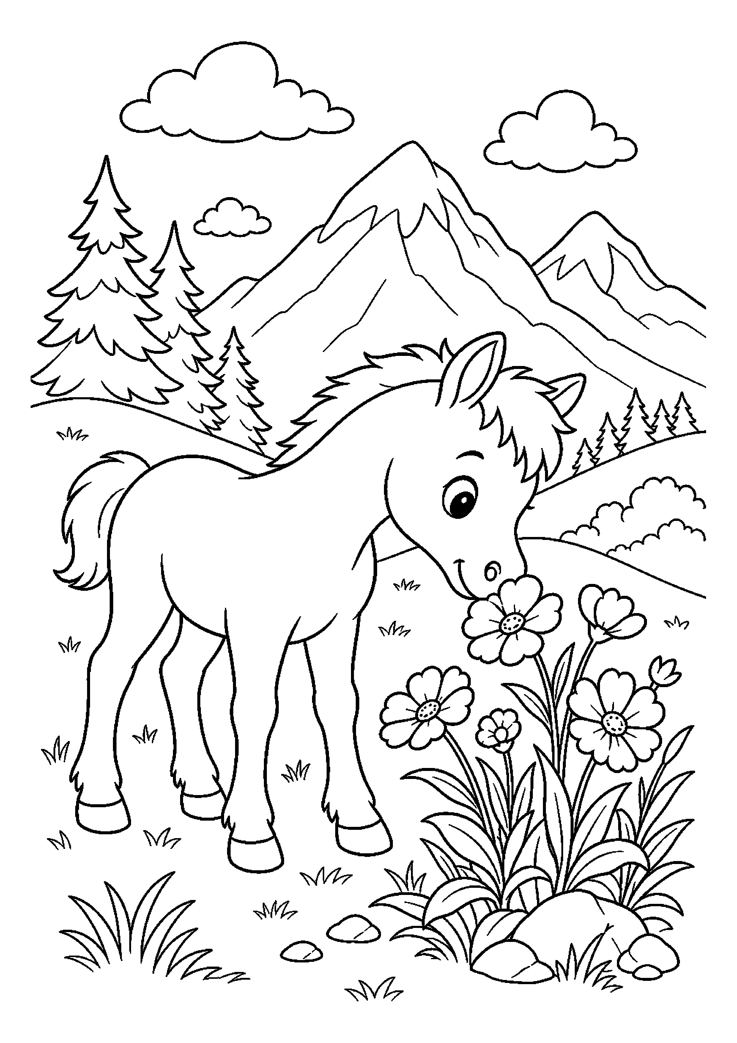 Konik w ciekawej scenerii
