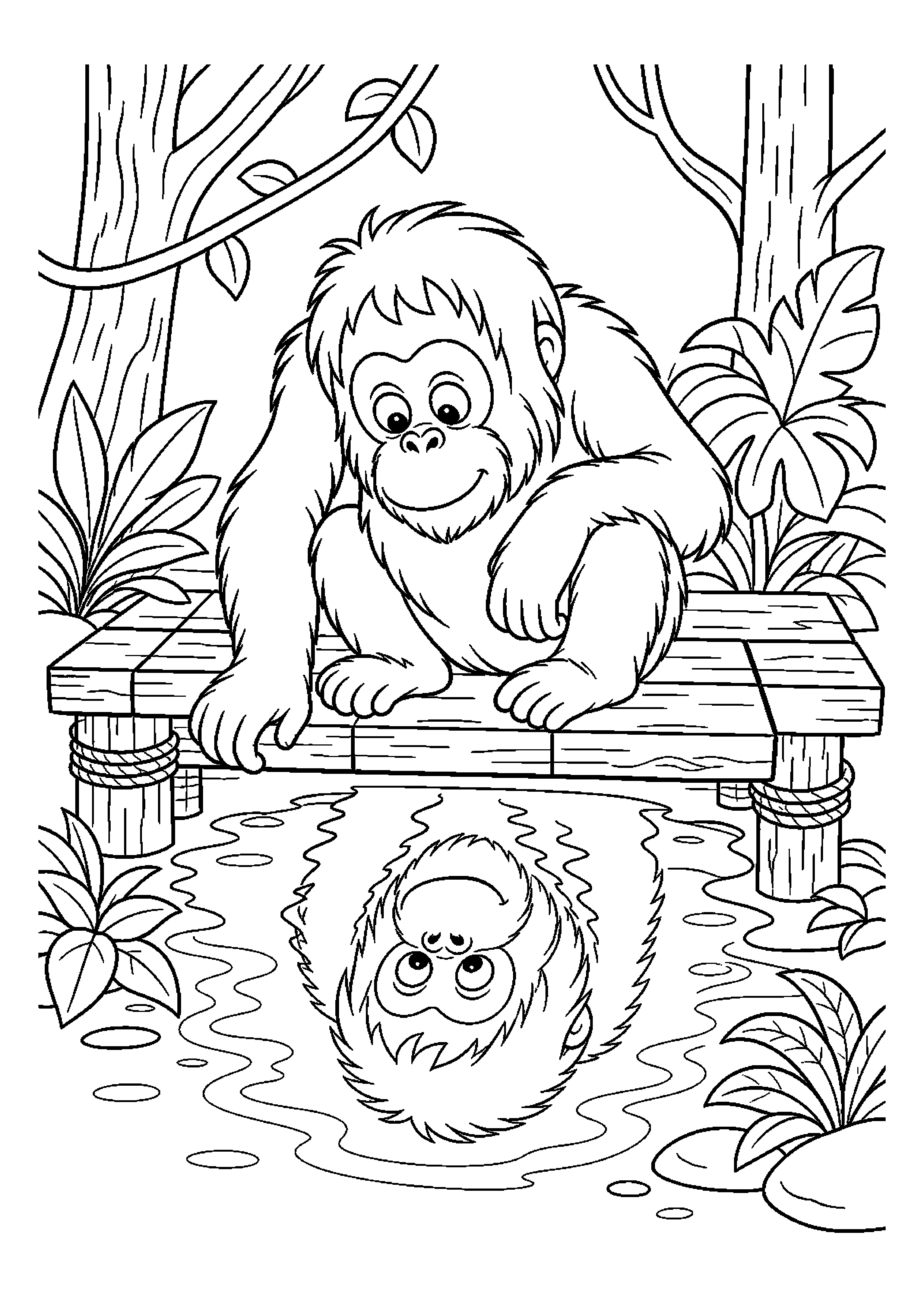 Orangutan obserwuje własne odbicie w wodzie