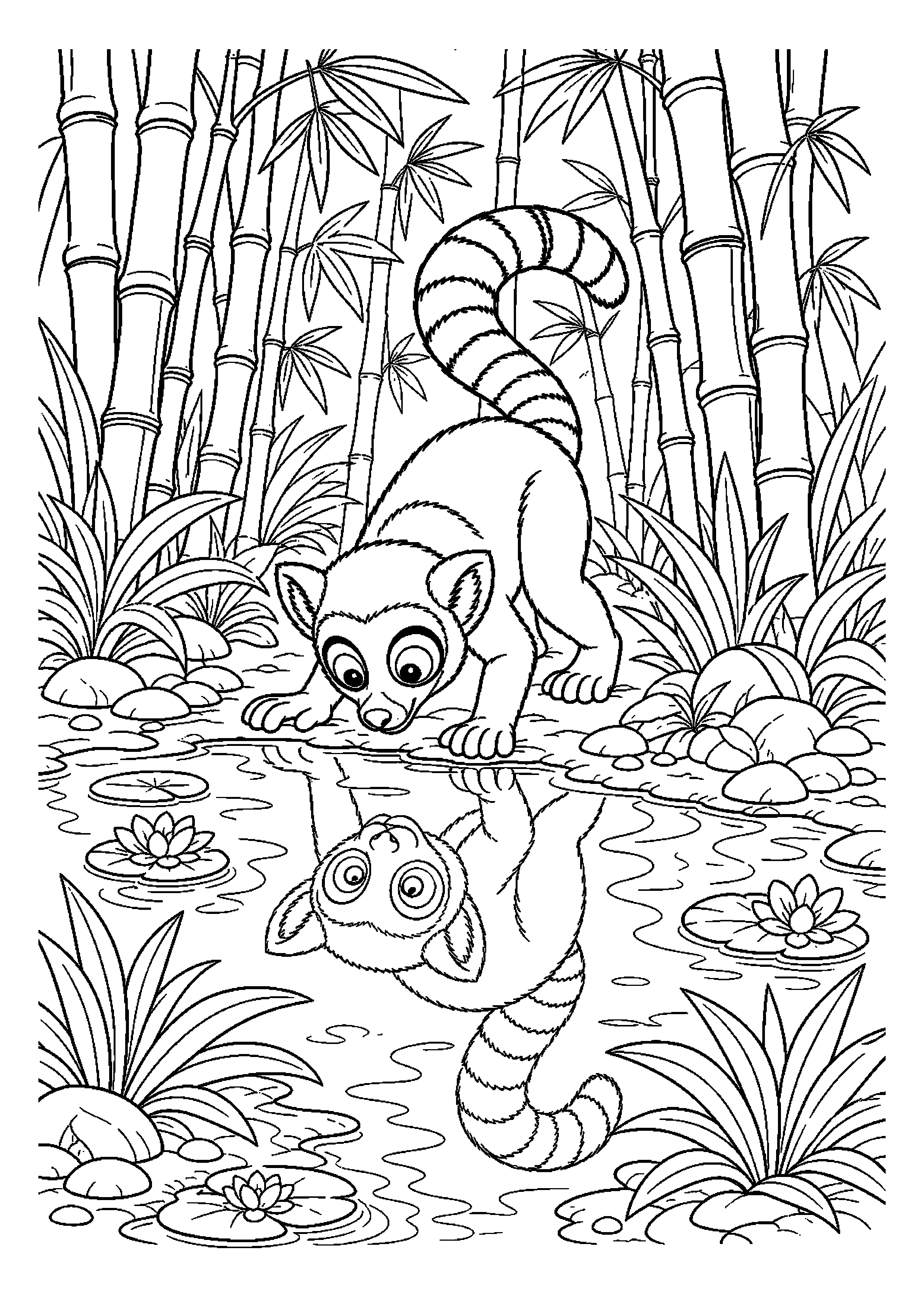 Lemur obserwuje własne odbicie w wodzie