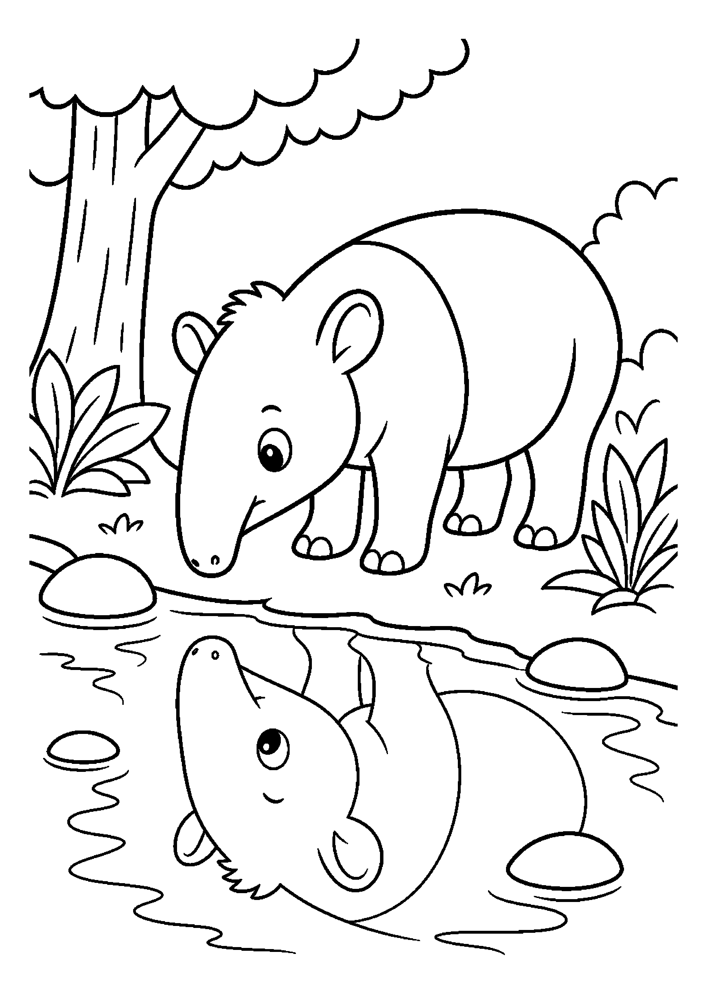 Tapir obserwuje własne odbicie w wodzie