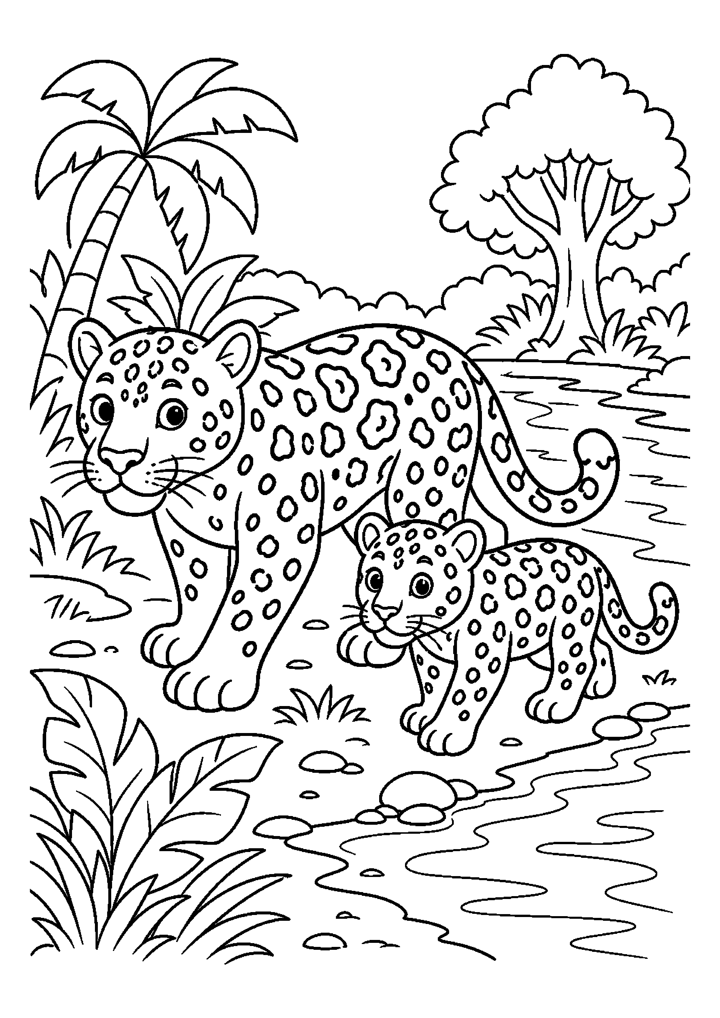 Jaguar wędruje z młodym