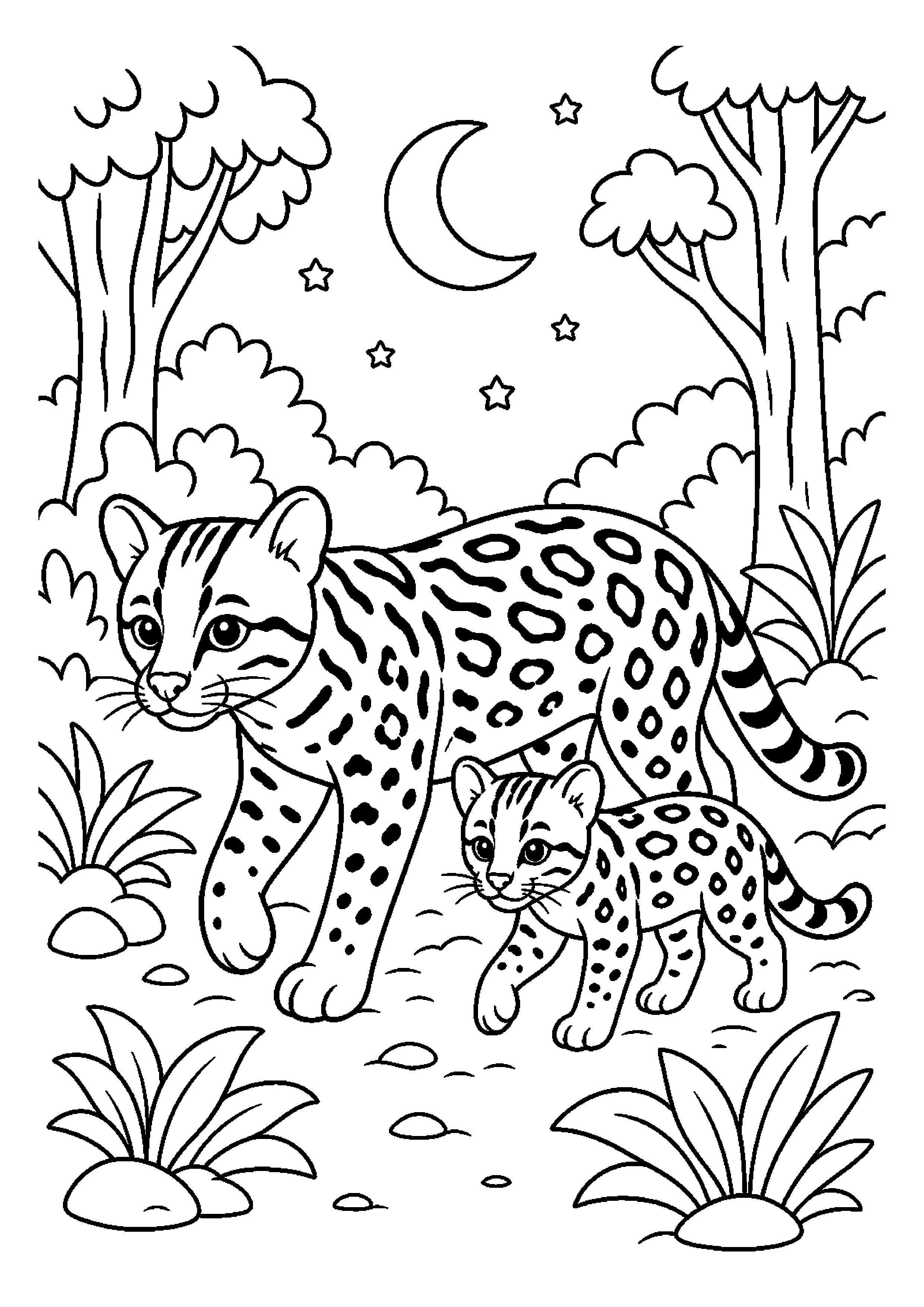 Ocelot wędruje z młodym