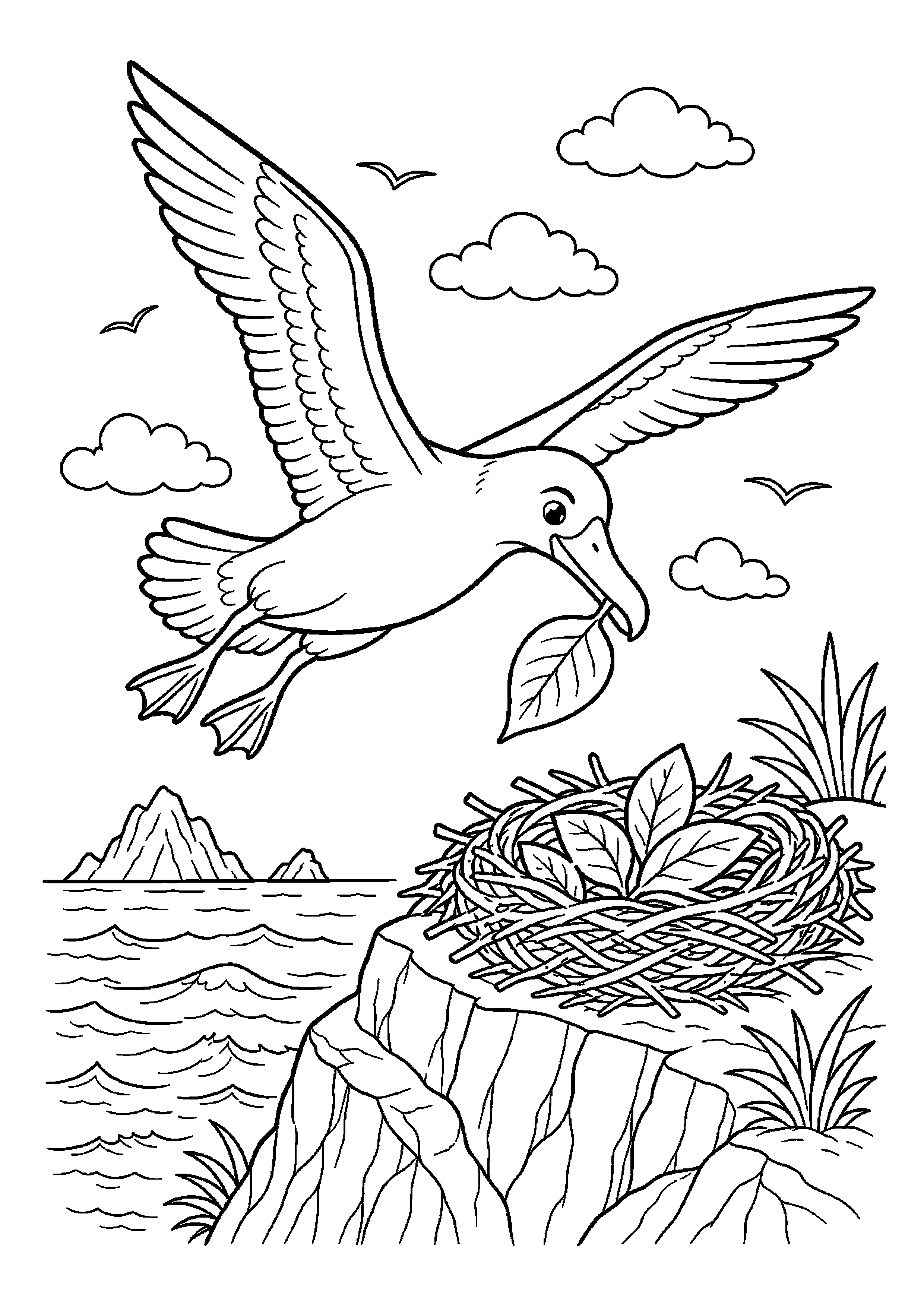 Albatros przenosi listek do gniazda